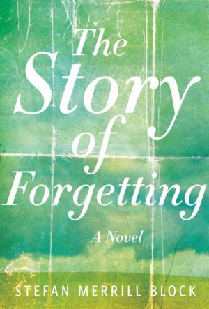 Cover of the book The Story of Forgetting by Jeff Shaara
