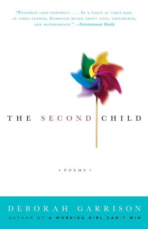Book cover of The Second Child