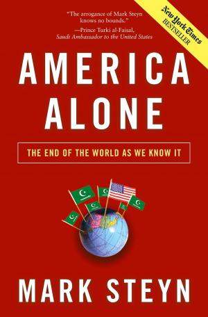 Book cover of America Alone