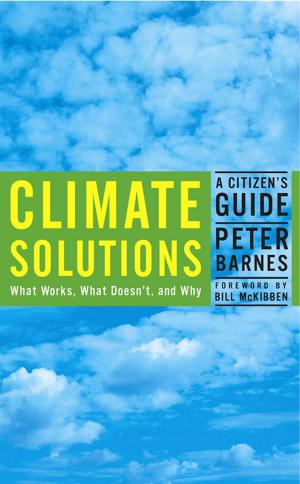 Cover of the book Climate Solutions by The Dark Mountain Project