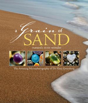Cover of the book A Grain of Sand by Jon Wipfli, Matt Lien