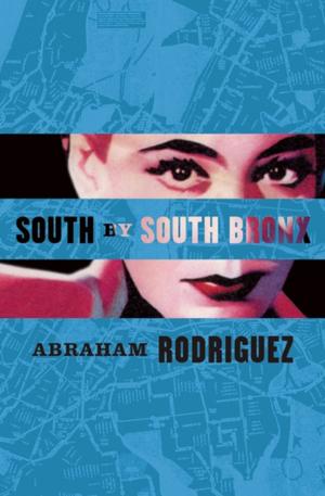 Cover of the book South by South Bronx by Cédric Fabre