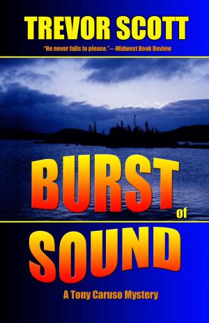 Cover of the book Burst of Sound by Adam Novak