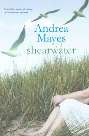 Cover of the book Shearwater by Emily Power