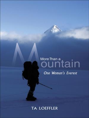 Book cover of More Than a Mountain