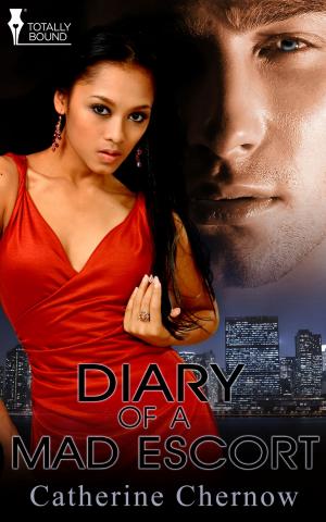 Cover of the book Diary of a Mad Escort by Angel .B
