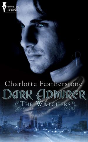 Book cover of Dark Admirer