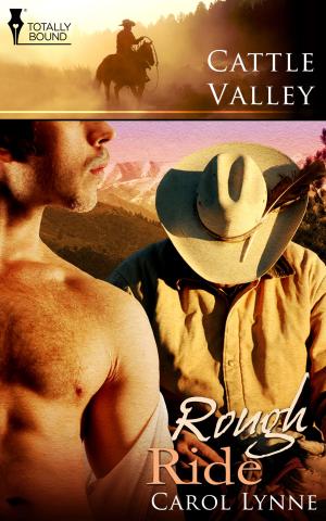 Cover of the book Rough Ride by Crissy Smith