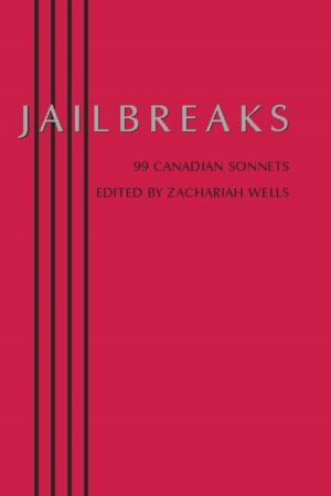 Cover of the book Jailbreaks by Allen Taylor - Editor, AmyBeth Inverness, Alex S. Johnson