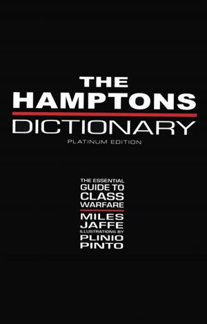 Cover of the book The Hamptons Dictionary by Christine Durst, Michael Haaren