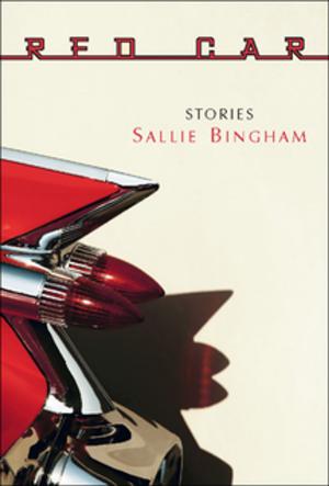 Book cover of Red Car