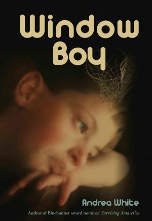 Cover of the book Window Boy by Angela Caughlin