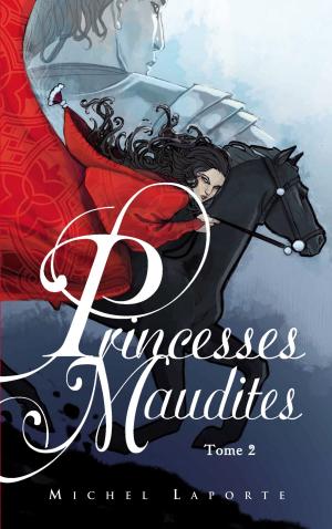 Cover of the book Princesses maudites 2 - Au-delà des portes d'Ivoire by Annie Pietri