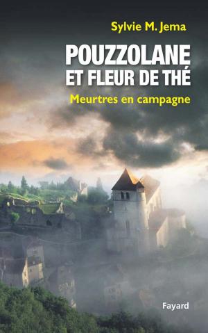 Cover of the book Pouzzolane et fleur de thé by Madeleine Chapsal