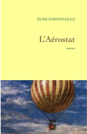 Cover of the book L'aérostat by Claude Angeli, Stéphanie Mesnier