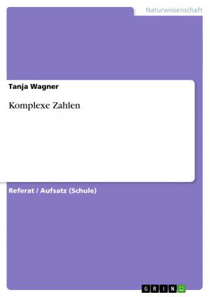 Cover of the book Komplexe Zahlen by Eva Zilles