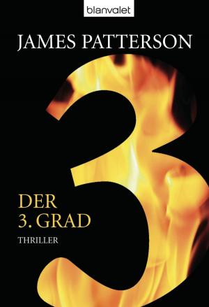 Cover of Der 3. Grad - Women's Murder Club -