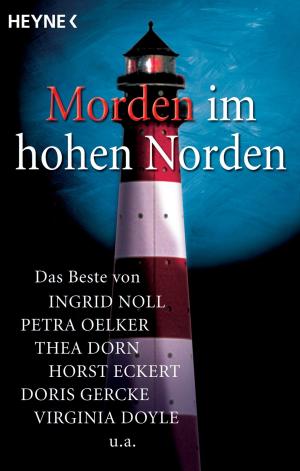 Cover of the book Morden im hohen Norden by Barbara Hambly