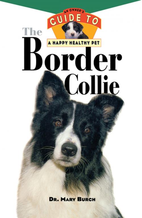 Cover of the book The Border Collie by Mary R. Burch, Turner Publishing Company