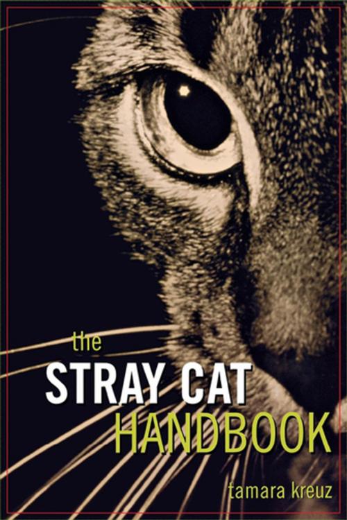Cover of the book The Stray Cat Handbook by Tamara Kreuz, Turner Publishing Company