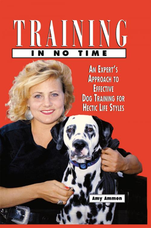 Cover of the book Training in No Time by Amy Ammen, Turner Publishing Company