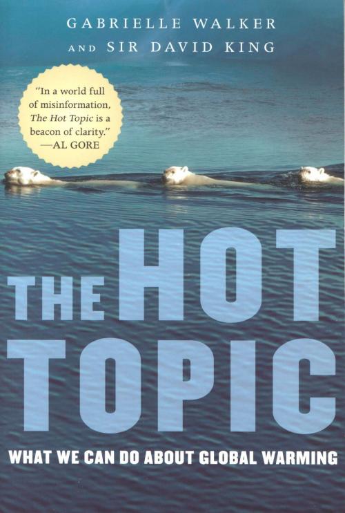 Cover of the book The Hot Topic by Gabrielle Walker, David King, HMH Books