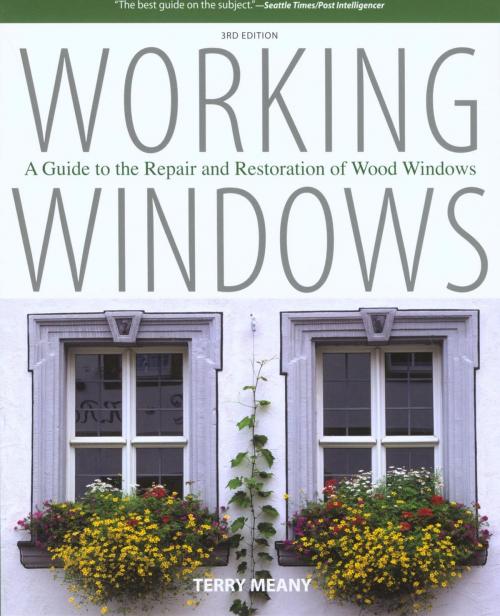 Cover of the book Working Windows by Terry Meany, Lyons Press