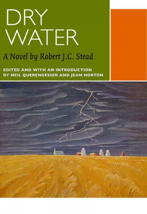 Cover of the book Dry Water by Robert J.C. Stead, University of Ottawa Press