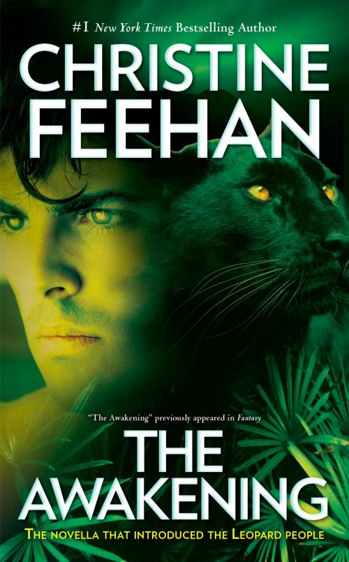 Cover of the book The Awakening by Christine Feehan, Penguin Publishing Group