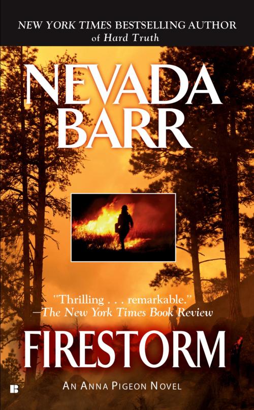Cover of the book Firestorm by Nevada Barr, Penguin Publishing Group