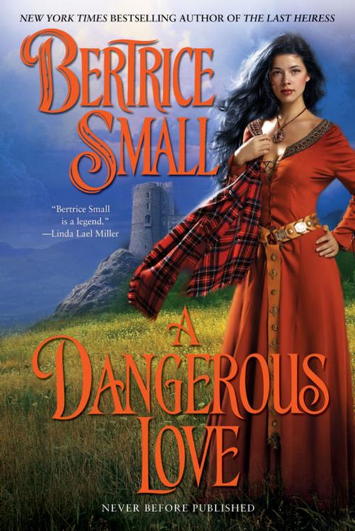 Cover of the book A Dangerous Love by Bertrice Small, Penguin Publishing Group