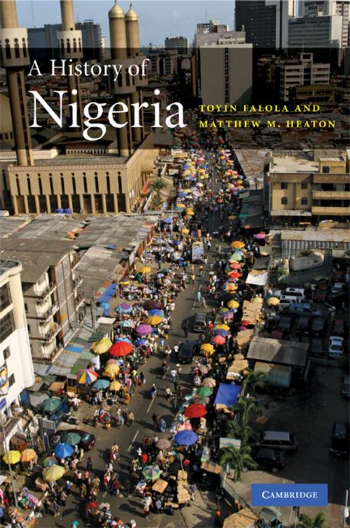 Cover of the book A History of Nigeria by Toyin Falola, Matthew M. Heaton, Cambridge University Press