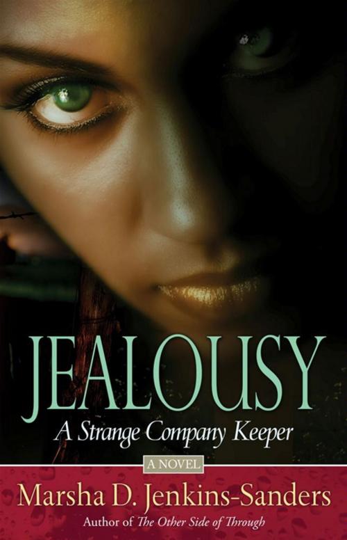 Cover of the book Jealousy by Marsha Jenkins-Sanders, Strebor Books