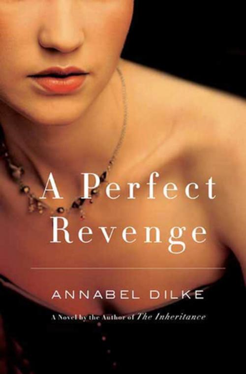 Cover of the book A Perfect Revenge by Annabel Dilke, St. Martin's Press
