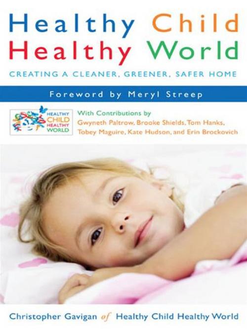 Cover of the book Healthy Child Healthy World by Christopher Gavigan, Penguin Publishing Group