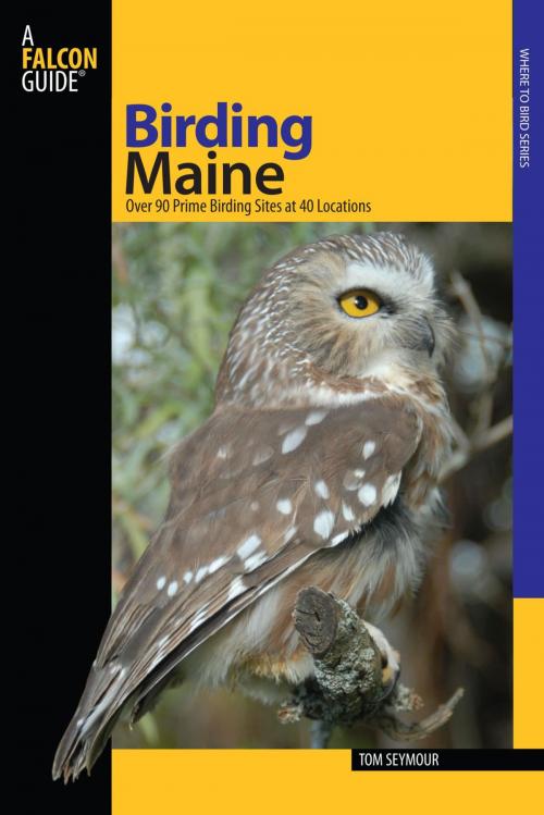 Cover of the book Birding Maine by Tom Seymour, Falcon Guides