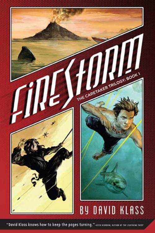 Cover of the book Firestorm by David Klass, Farrar, Straus and Giroux (BYR)
