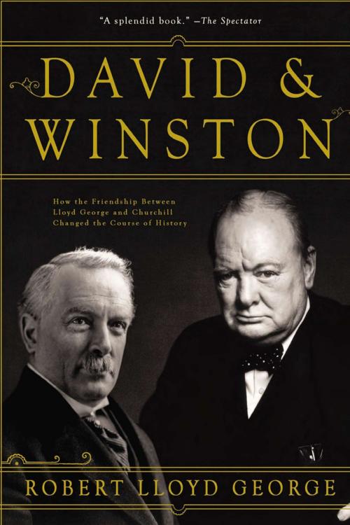 Cover of the book David & Winston by Robert Lloyd George, ABRAMS