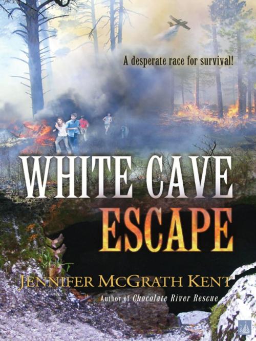 Cover of the book White Cave Escape by Jennifer McGrath Kent, Nimbus