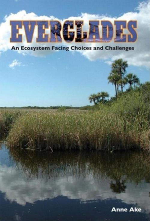 Cover of the book Everglades by Anne Ake, Pineapple Press