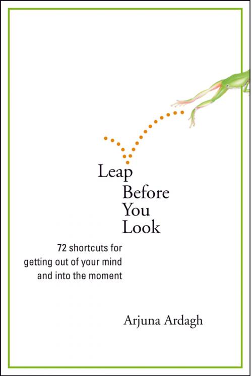 Cover of the book Leap Before You Look by Arjuna Ardagh, Sounds True