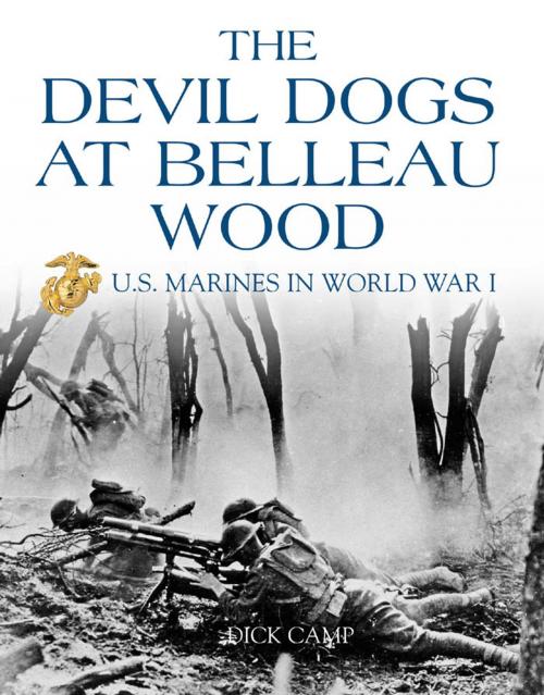 Cover of the book The Devil Dogs at Belleau Wood: U.S. Marines in World War I by Dick Camp, MBI Publishing Company