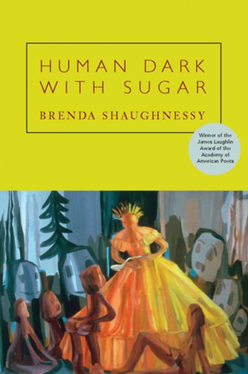 Cover of the book Human Dark with Sugar by Brenda Shaughnessy, Copper Canyon Press