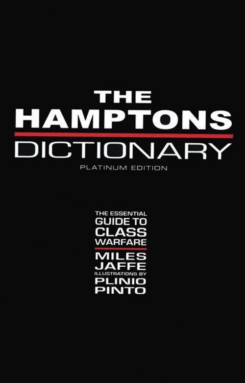 Cover of the book The Hamptons Dictionary by Jaffe, Miles, Red Wheel Weiser