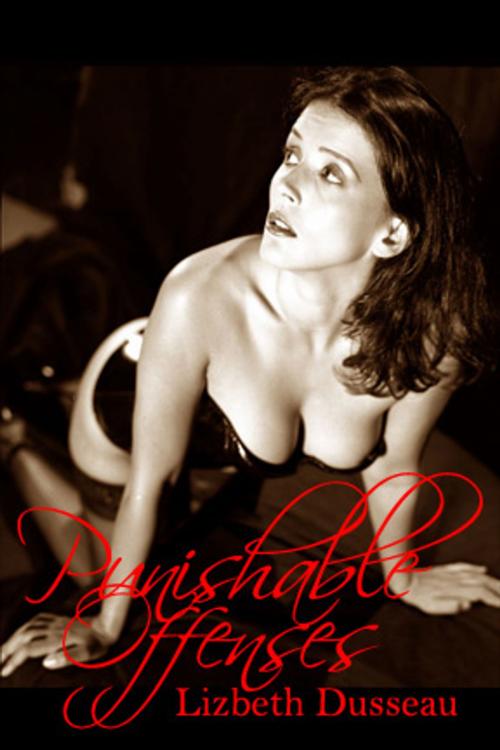 Cover of the book Punishable Offenses by Lizbeth Dusseau, Pink Flamingo Publications