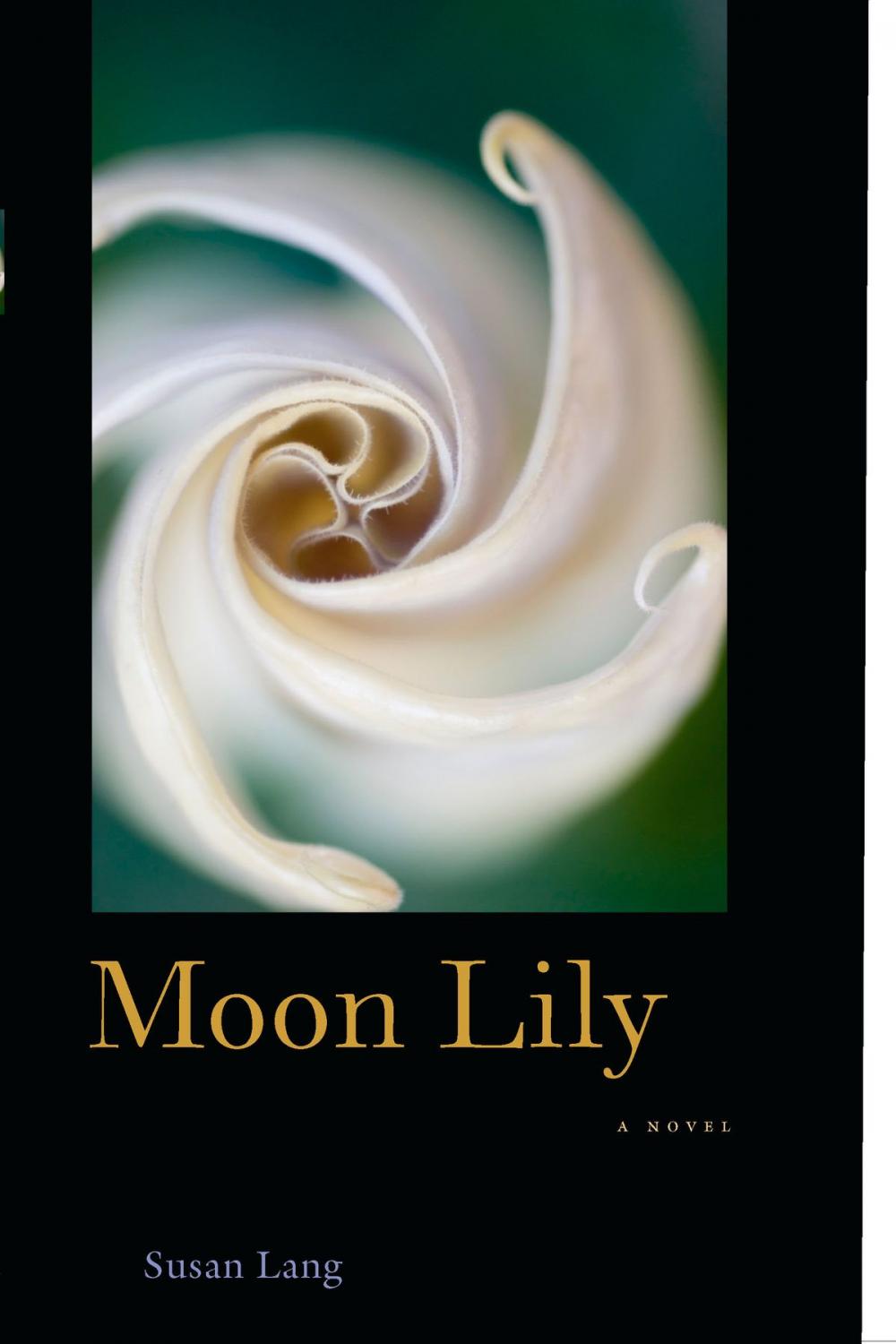 Big bigCover of Moon Lily