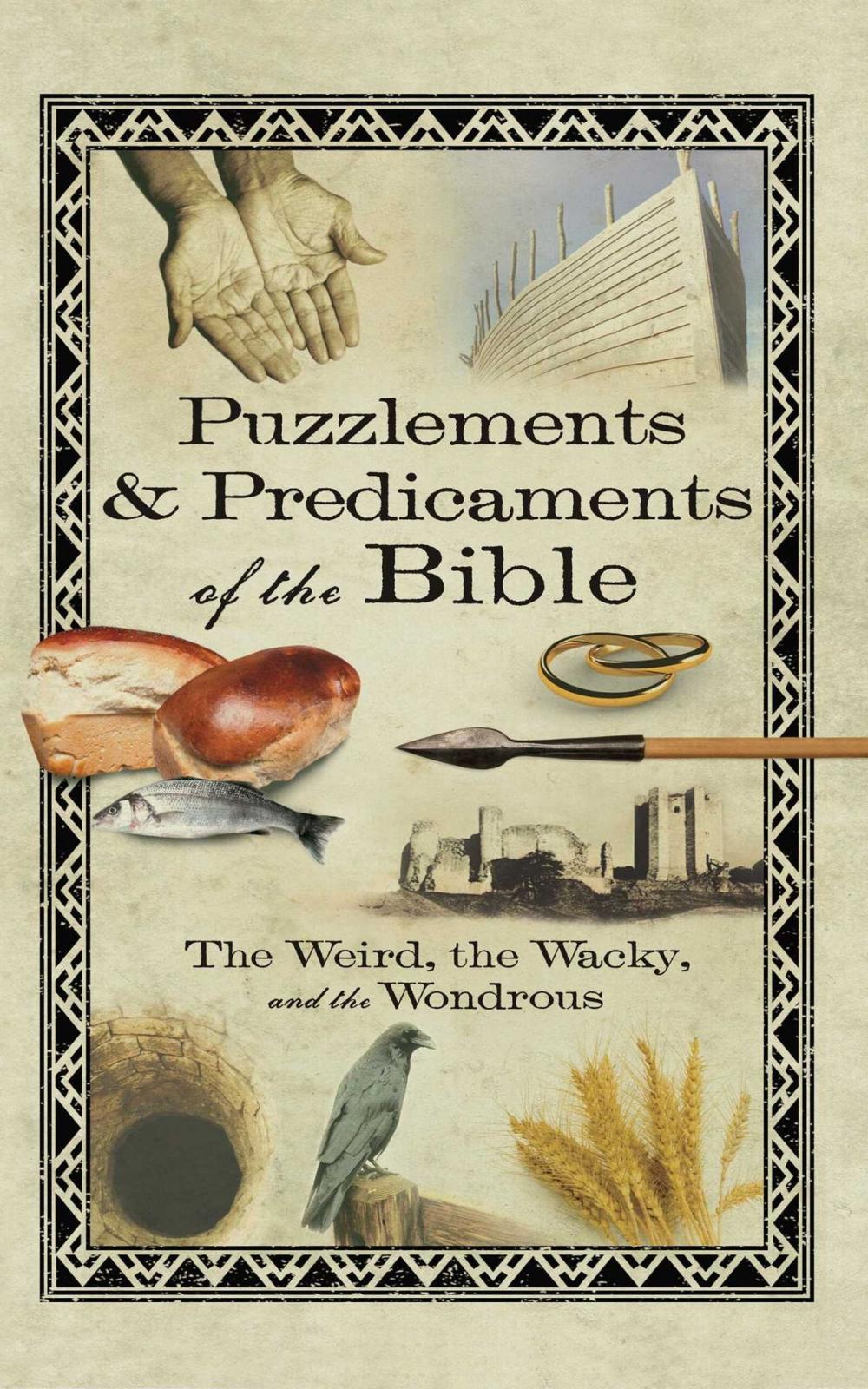 Big bigCover of Puzzlements & Predicaments of the Bible