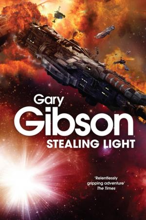 Cover of the book Stealing Light by Steve Calvert