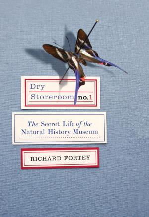 Cover of the book Dry Storeroom No. 1 by Dan Fesperman