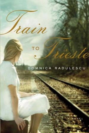 Cover of the book Train to Trieste by Erik Larson